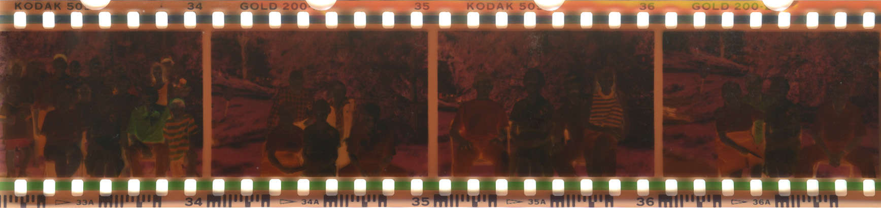 Negative Scanning Services Memories Renewed