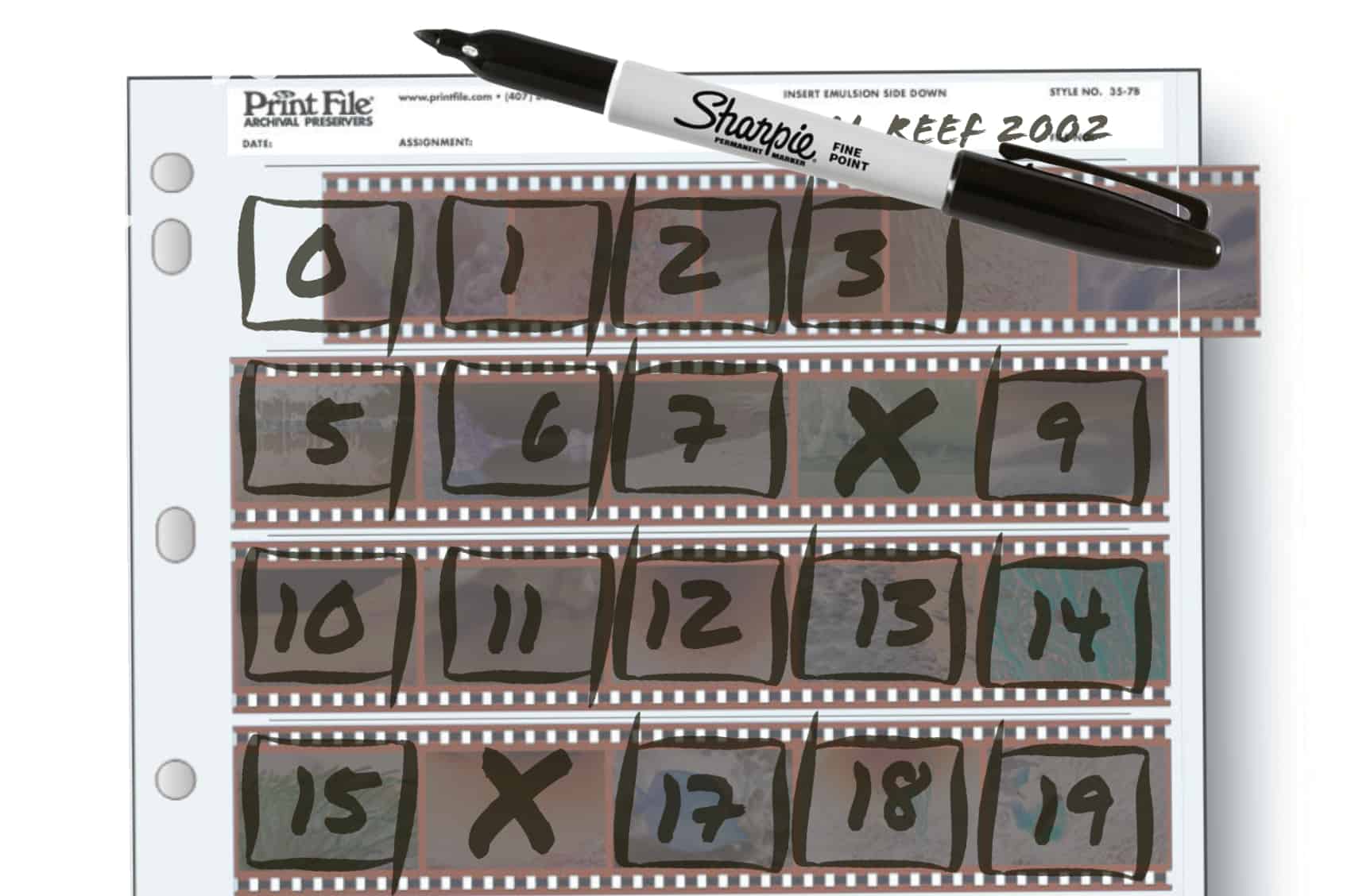 Preparing Your Negatives for Scanning Memories Renewed